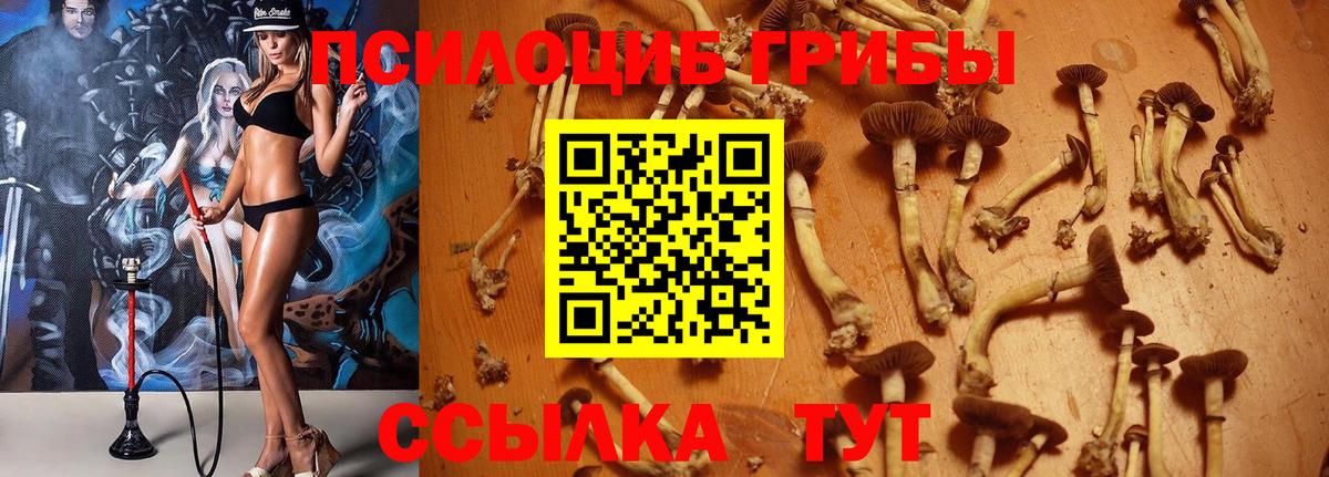 Псилоцибиновые грибы Magic Shrooms Кстово