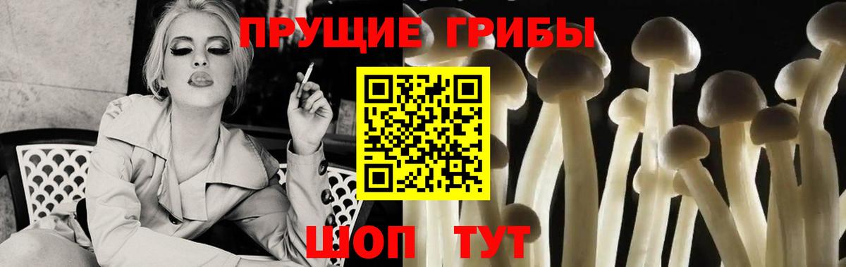 Кстово  Псилоцибиновые грибы мицелий  Вход с VPN 